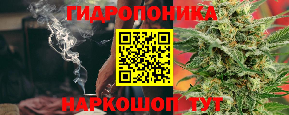 Канабис Ganja  МАРИХУАНА планчик  Конопля White Widow  Лянтор  Вход с VPN 